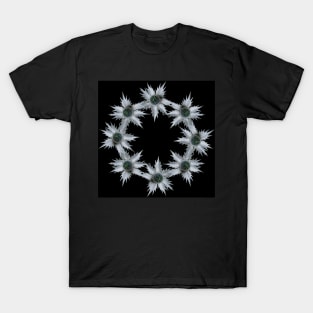 Ring of Eryngium T-Shirt